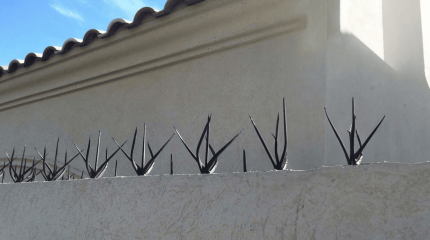 pinches de seguridad